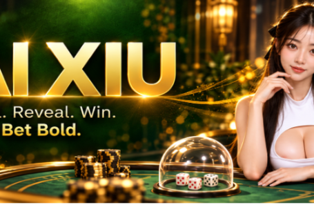 Tai Xiu Gameplay Interactive Smart Games